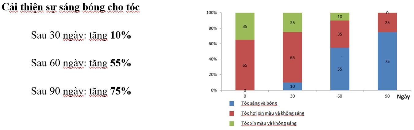 THỰC PHẨM CHỨC NĂNG NUÔI DƯỠNG TÓC HIỆU QUẢ NHẤT HIỆN NAY