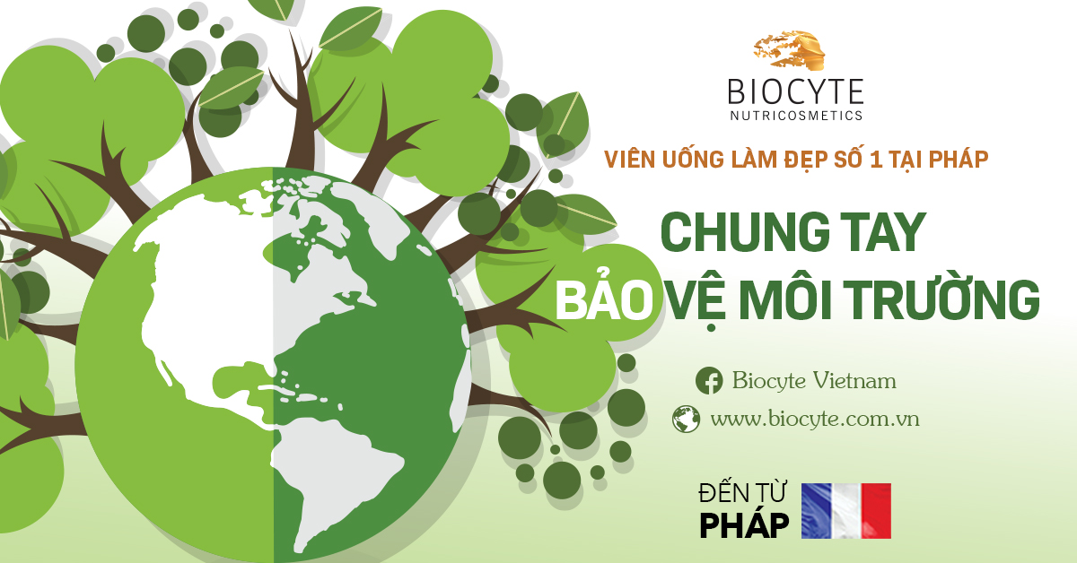 THAY TÚI NILON BẰNG TÚI TỰ HỦY SINH HỌC | BIOCYTE CHUNG TAY BẢO VỆ MÔI TRƯỜNG