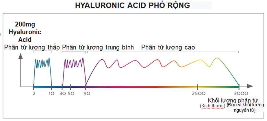 Hyaluronic-Acid-pho-rong.png