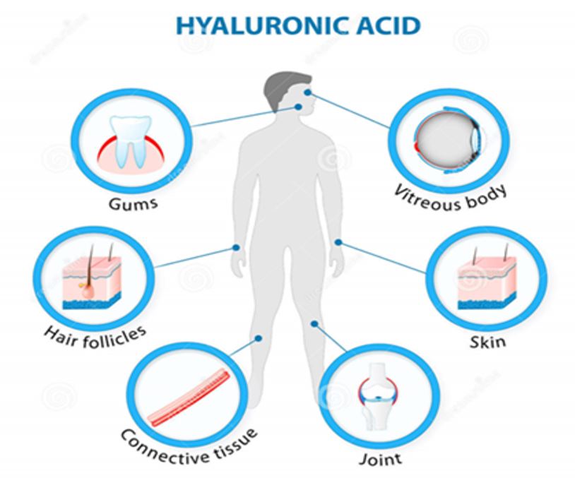 Uống Hyaluronic Acid Có Thực Sự Tốt Cho Da Và Sức Khỏe?