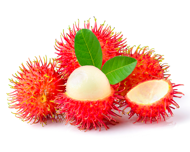 Qua-chom-chom.png