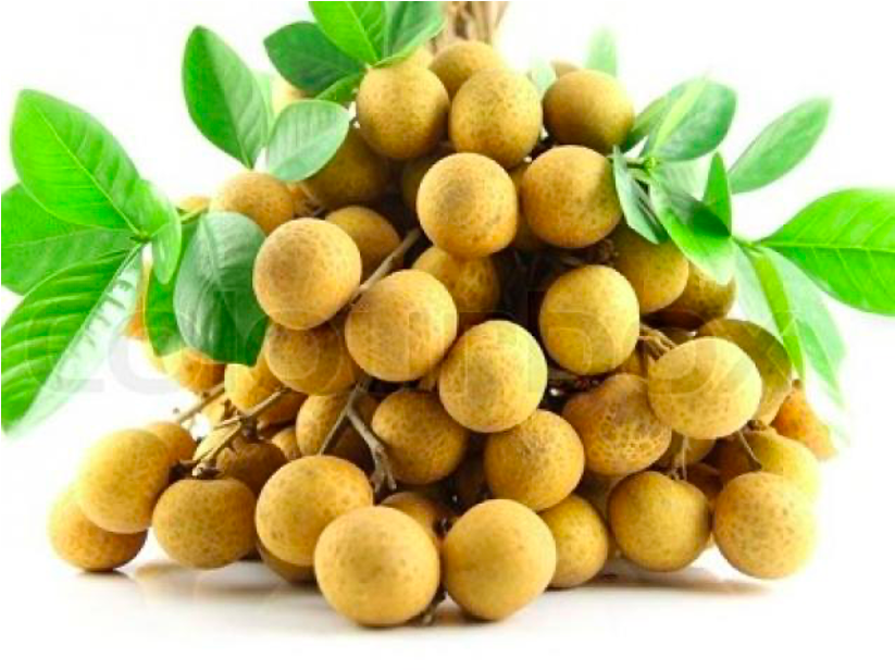 Qua-nhan.png