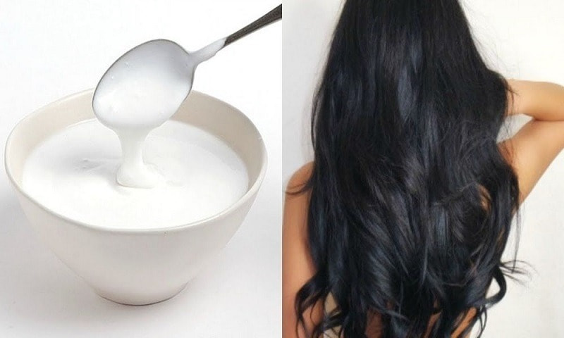 Cách phục hồi tóc hư tổn tại nhà bằng sữa chua