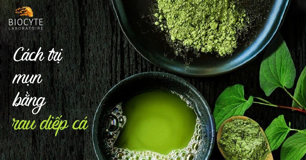 Cách trị mụn bằng rau diếp cá hiệu quả