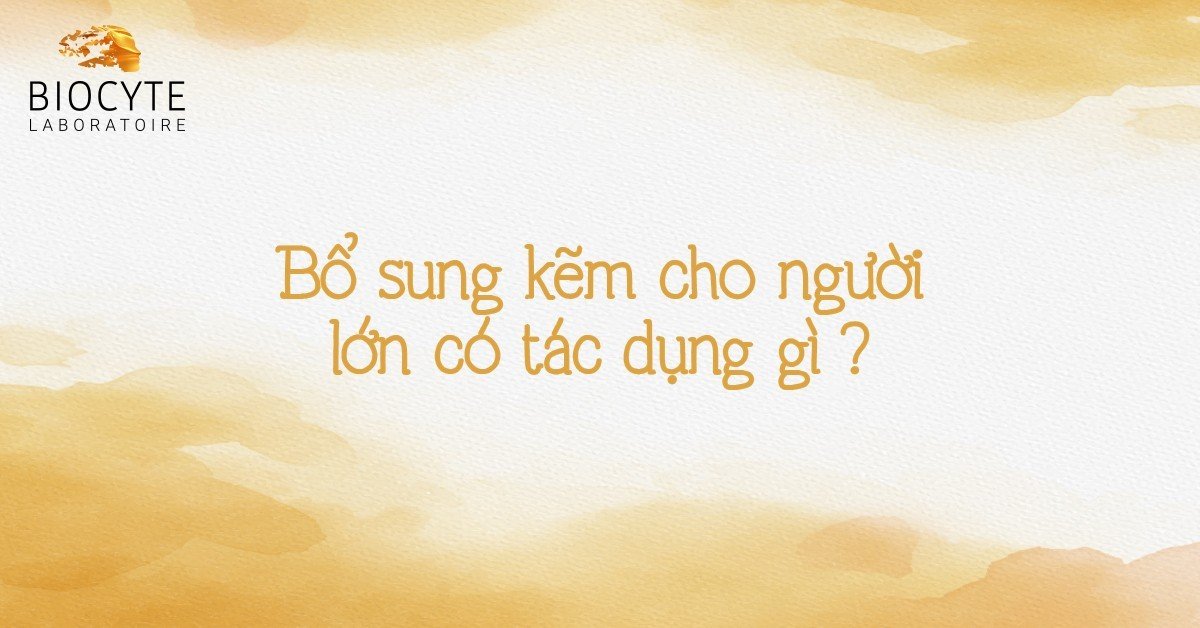 Bổ sung kẽm cho người lớn có tác dụng gì?