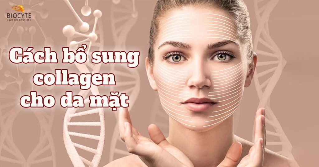 6 cách bổ sung collagen cho da mặt giúp ngăn ngừa lão hóa