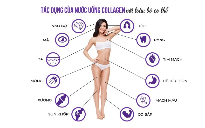 Tác dụng của collagen dạng viên đối với cơ thể