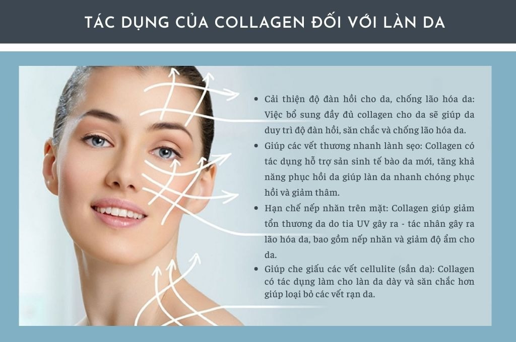 Vai trò của collagen đối với da