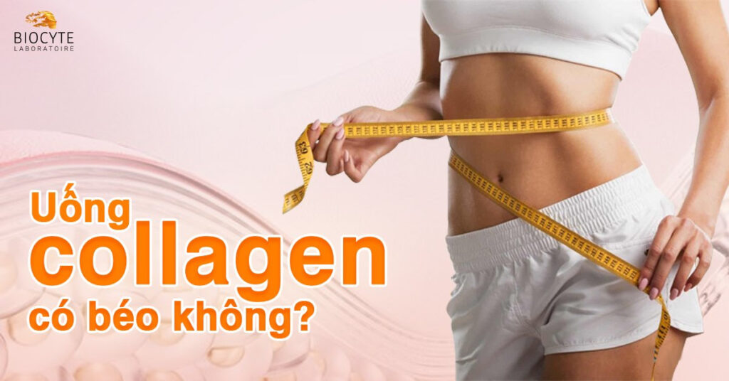 Uống collagen có bị béo và tăng cân không?