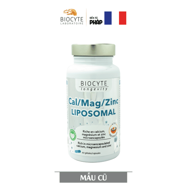 B20 - Cal/mag/zinc Liposomal - Viên uống bổ sung Canxi – Magie – Kẽm Liposomal - Hình ảnh 3