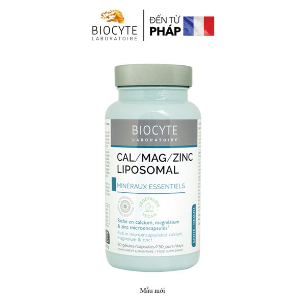 B20 – Cal/Mag/Zinc Liposomal – Viên Uống Bổ Sung Canxi – Magie – Kẽm Liposomal (mẫu mới 2024)