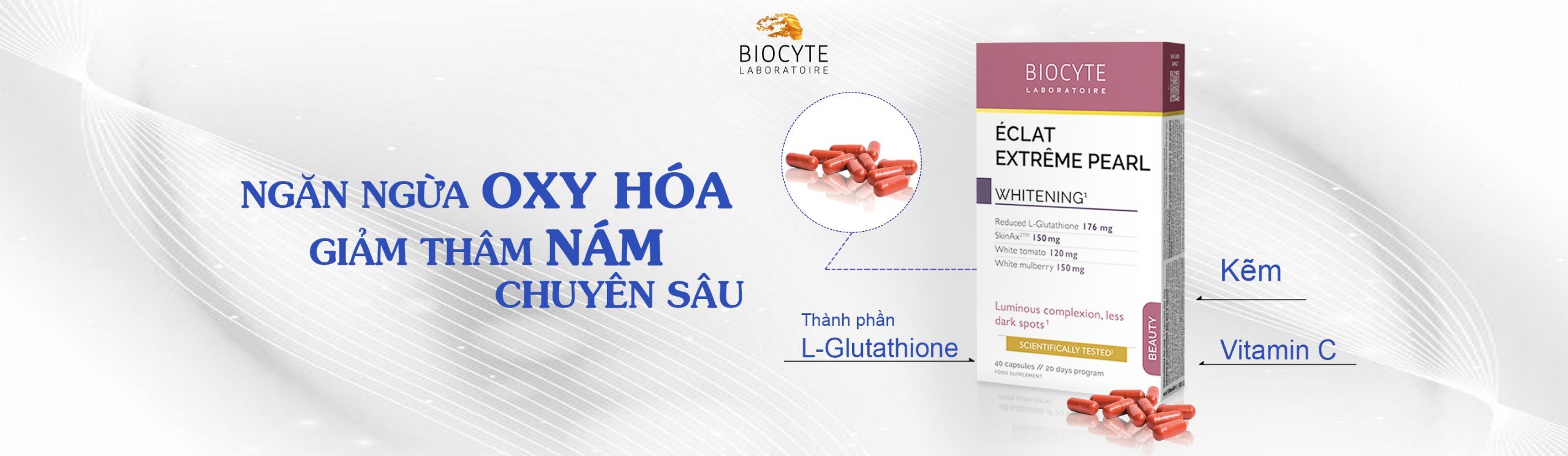 Banner website