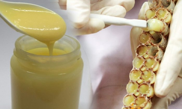 Bổ sung sữa ong chúa tăng cường Glutathione