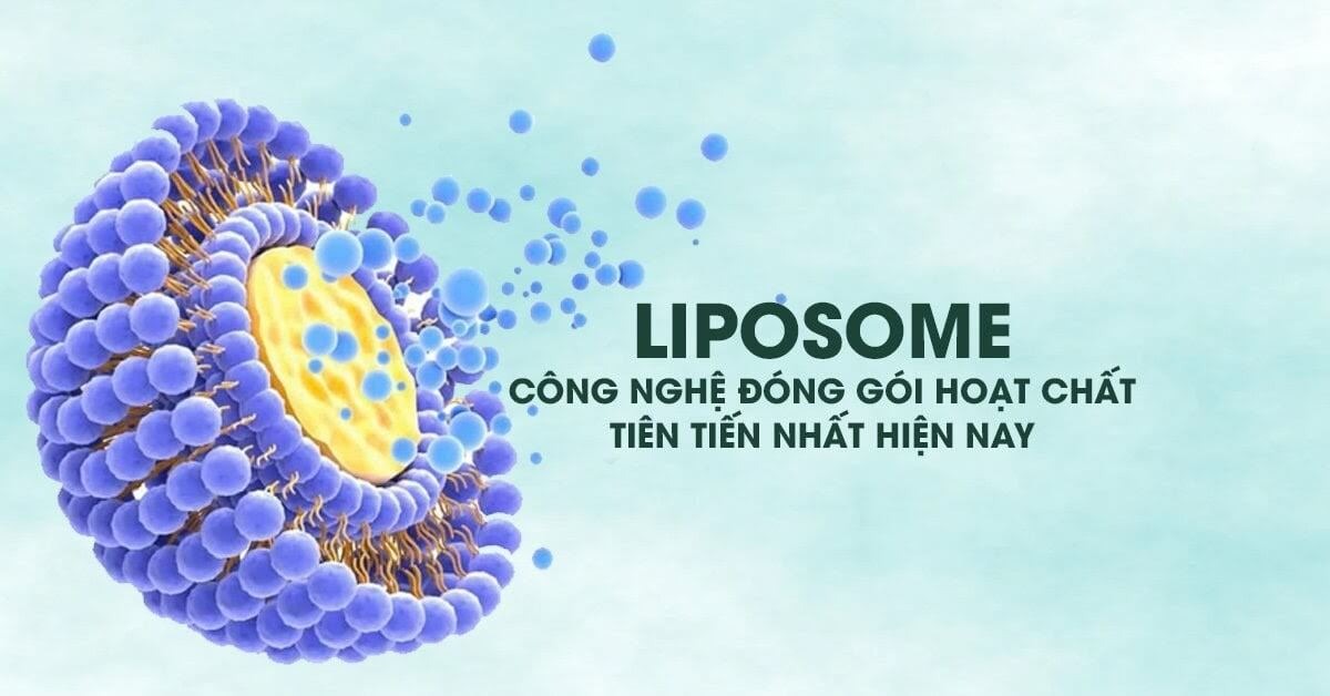 Liposome-la-gi