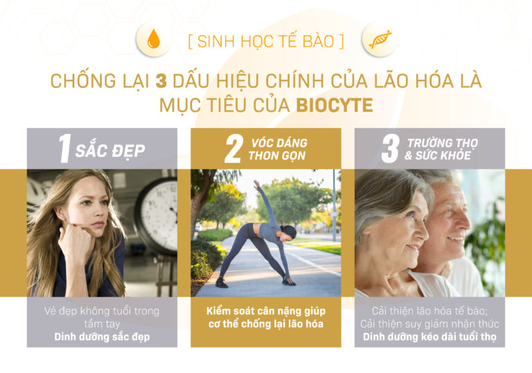 Hiệu quả chứng minh lâm sàng Biocyte